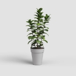 Image de POT CAPRI HAUT 46 MA GRIS CLAIR