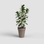 Image de POT CAPRI HAUT 46 MA TAUPE