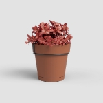 Image de POT CAPRI BALCON RE KIT 20 MA TERRE CUITE