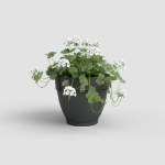 Image de POT CAPRI CAMPANA MUR RE KIT 20 MA ANTHRACITE