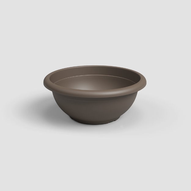Image de COUPE VENEZIA 30 MA BRONZE