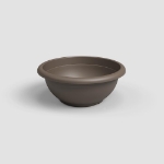 Image de COUPE VENEZIA 50 MA BRONZE
