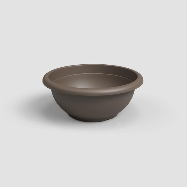 Image de COUPE VENEZIA 50 MA BRONZE