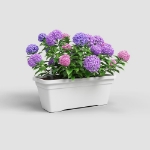 Image de JARDINIÈRE VENEZIA L SWS 60 MA BLANC