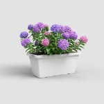 Image de JARDINIÈRE VENEZIA XL 60 MA BLANC