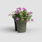 Image de POT VENEZIA BALCON 30 MA VERT SEC
