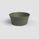 Image de COUPE MADAGASCAR 27 MA VERT SEC