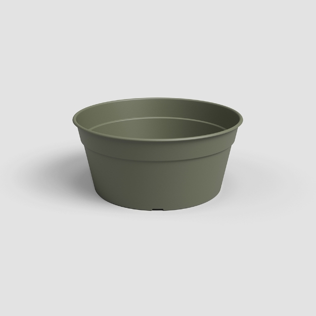 Image de COUPE MADAGASCAR 27 MA VERT SEC