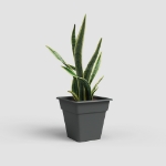Image de POT MADAGASCAR CARRÉ 35 MA ANTHRACITE