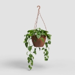 Image de POT ALGARVE SUSPENSION 25 MA TERRE CUITE