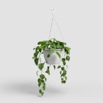 Image de POT ALGARVE SUSPENSION 30 MA BLANC