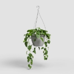 Image de POT ALGARVE SUSPENSION 30 MA GRIS CLAIR