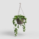 Image de POT ALGARVE SUSPENSION 30 MA TAUPE