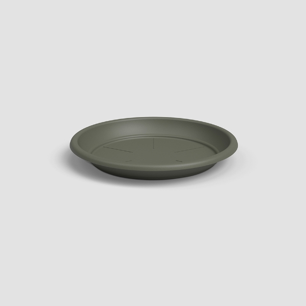 Image de SOUCOUPE RONDE 16 MA VERT SEC