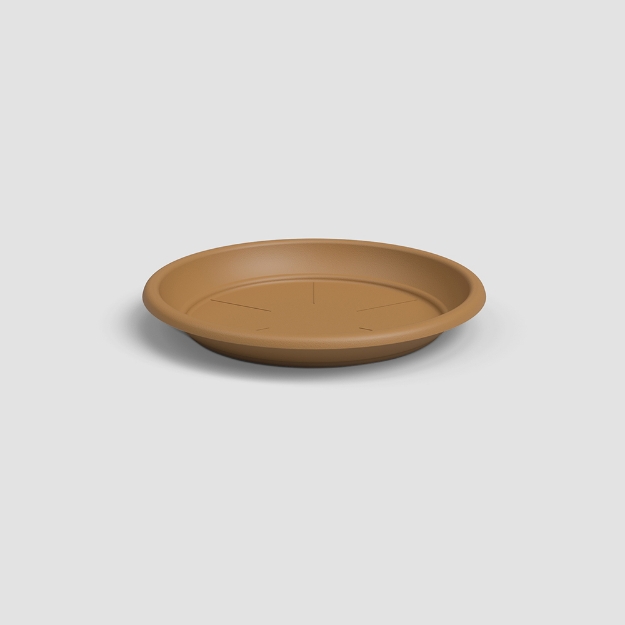 Image de SOUCOUPE RONDE 30 MA JAUNE MIEL