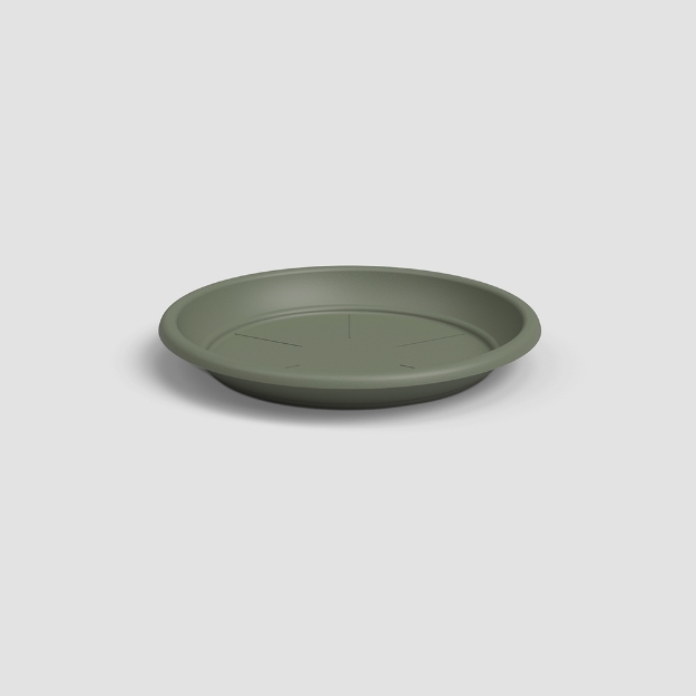 Image de SOUCOUPE RONDE 40 MA VERT CENDRÉ