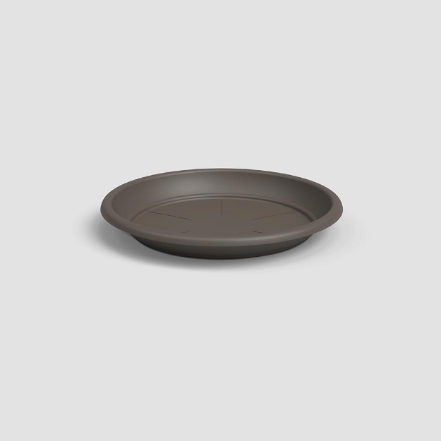 Image de SOUCOUPE RONDE 65 MA BRONZE