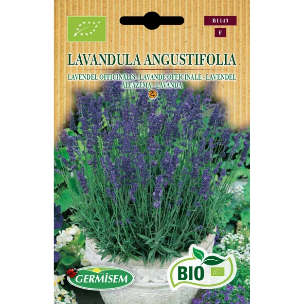 Image de Graines bio de Lavande Officinale
