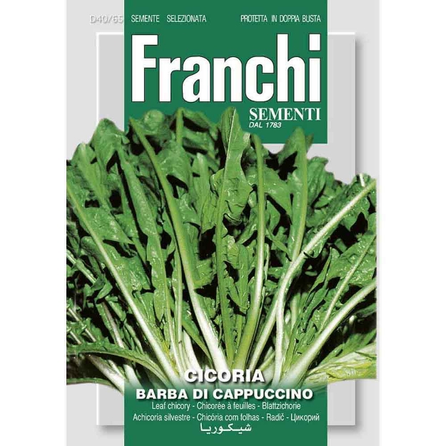 Image de Graines chicoree cicoria barba cappuccino - Franchi