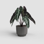 Image de POT MIAMI WAVY 20 MA ANTHRACITE