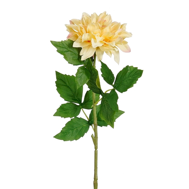 Image de Dahlia jaune real touch - Mica