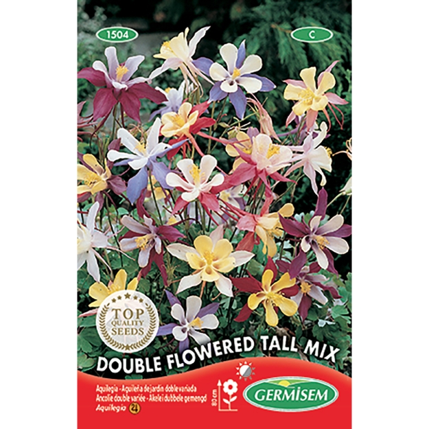 Image de Graines d'aquilegia (ancolie) double varié