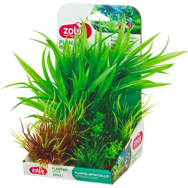 Image de PLANTKIT SMALL N 2