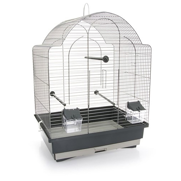Image de CAGE OISEAUX ANTONIO