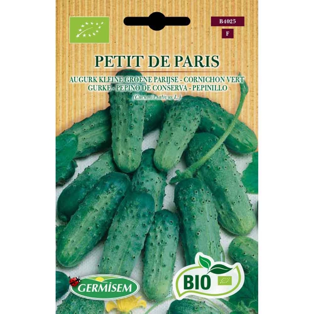 Image de Graines bio de cornichon vert petit de paris