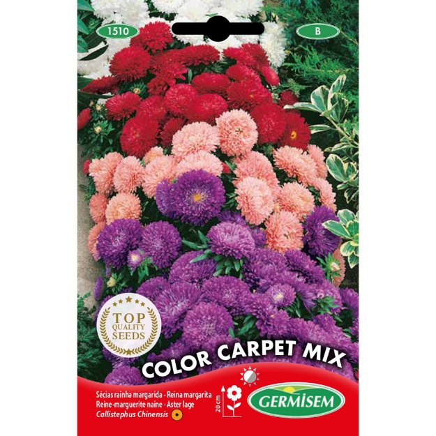 Image de Graines de callistephus (reine-marguerite) colour carpet nain varié