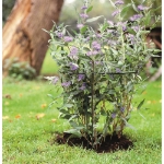 Image de PORTE PLANTE ACIER - H100 cm