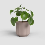 Image de CACHE-POT LUNA 15 MA ROSE CLAIR