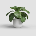 Image de CACHE-POT AURA 16CM BLANC