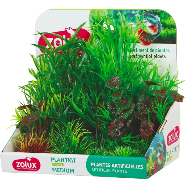 Image de PLANTKIT MEDIUM N 2