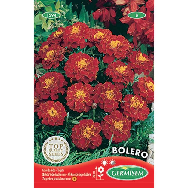 Image de Graines de tagète double bolero