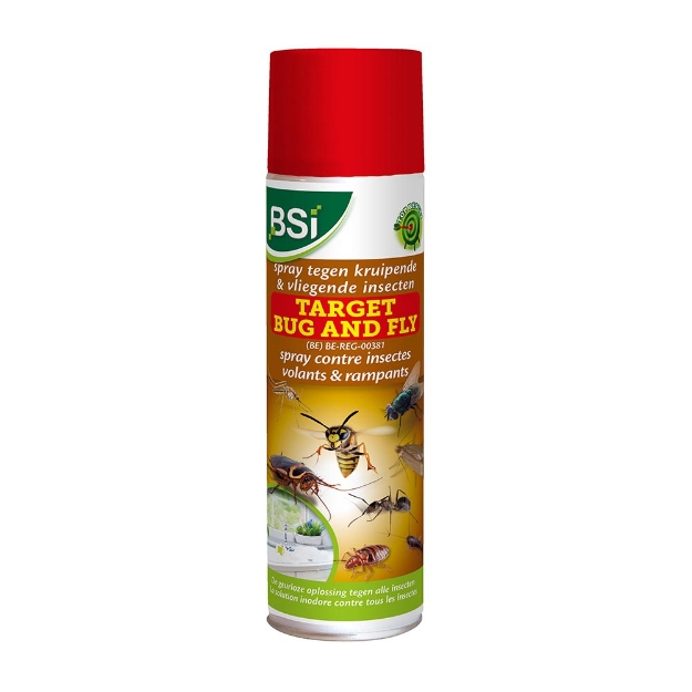 Image de Target Bug and Fly Spray Insecticide | 500 ML
