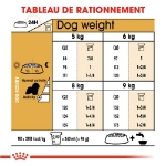 Image de BHN Cavalier KC Adult 7,5kg