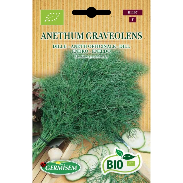 Image de Graines bio d' aneth officinale