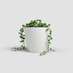 Image de POT SAN REMO MATE 6CM BLANC