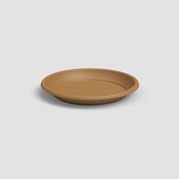 Image de SOUCOUPE RONDE 22CM JAUNE MIEL