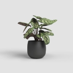 Image de CACHE-POT HEMERA 25CM ANTHRACITE