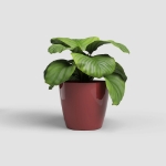 Image de POT SAN REMO BRILLANT 14CM ROUGE FONCÉ