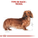 Image de BHN Dachshund Adult 7,5kg