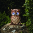Image de Hibou solaire clin d'œil