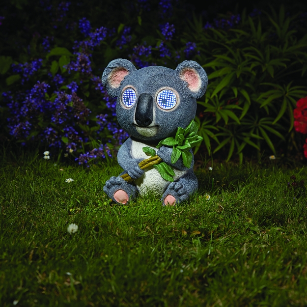 Image de Koala solaire clin d'œil