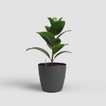 Image de POT SAN REMO MATE 30CM AUTO-ARROSAGE ANTHRACITE