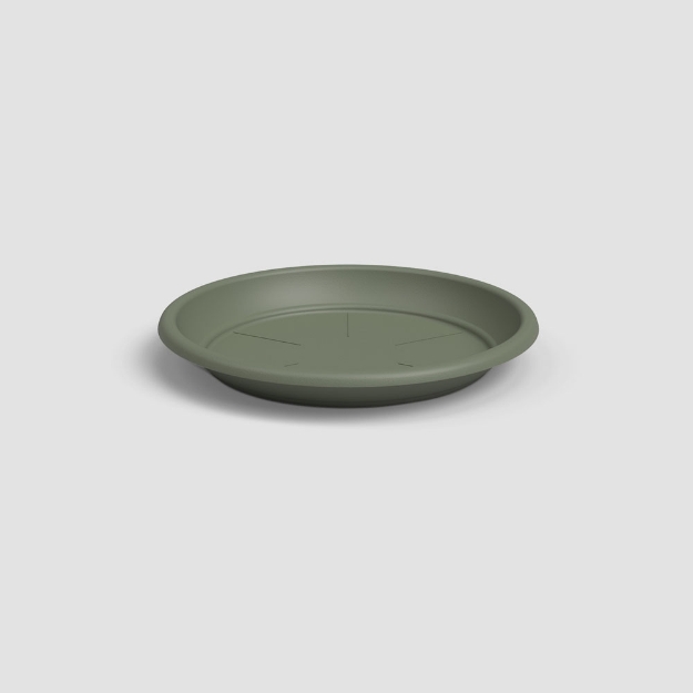 Image de SOUCOUPE RONDE 18CM VERT CENDRÉ