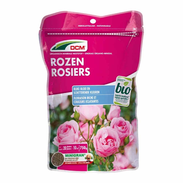 Image de DCM ROSIERS/FLEURS 0,65KG