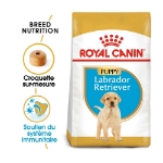Image de BHN Labrador Puppy 3kg