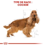 Image de BHN Cocker Adult 3kg